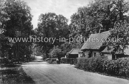 Romford Road, Noak Hill, Essex. c.1909